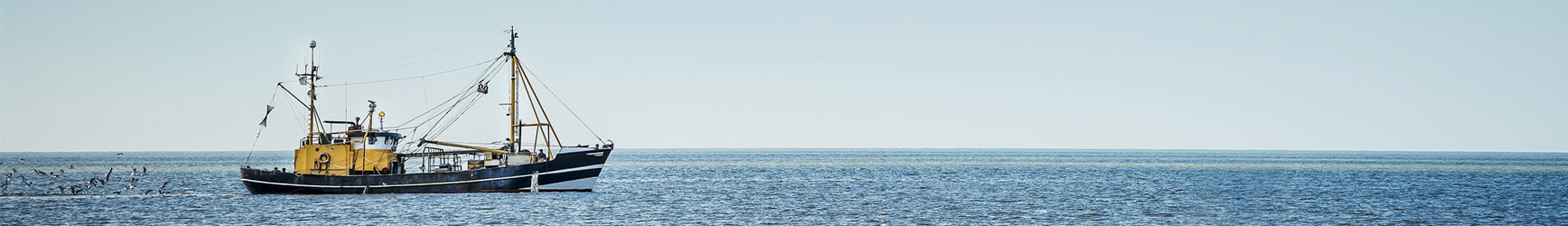 En fiskebåt ute på öppet hav.