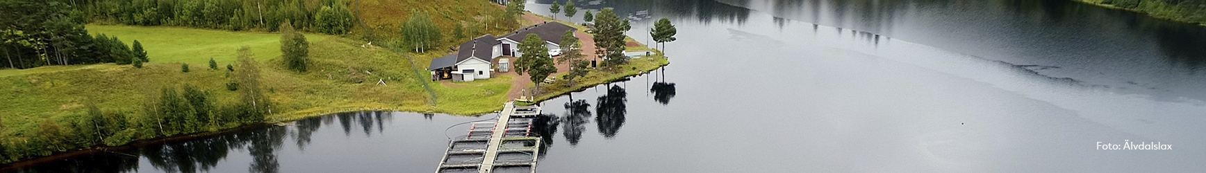 Drönarbild över Älvdalens anläggning för laxodling.