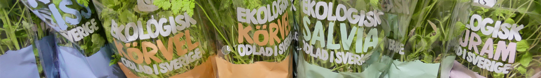 promo_PLAST-FÖRPACKNINGAR_363x250.jpg